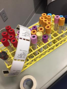 22894164_10155843141726528_361396626466726879_n